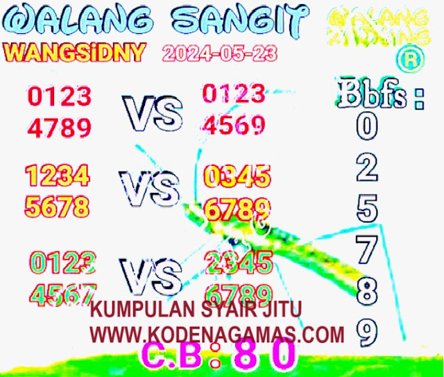 SYAIR SDY VIP